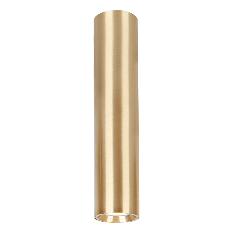 Σποτ Οροφής Genesis GU10 20cm Χρυσό