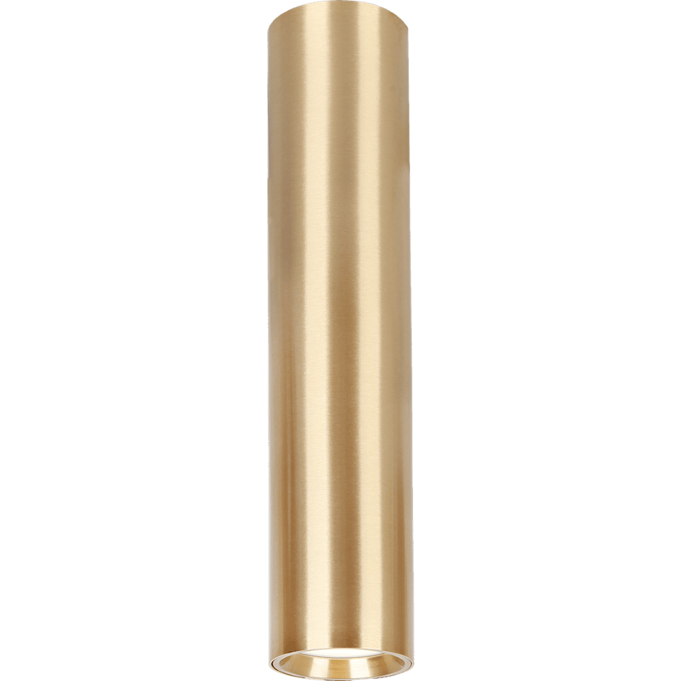 Σποτ Οροφής Genesis GU10 30cm Χρυσό