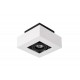 LED Σποτ Οροφής Xirax 1x5W 3000K Λευκό με Μαύρο