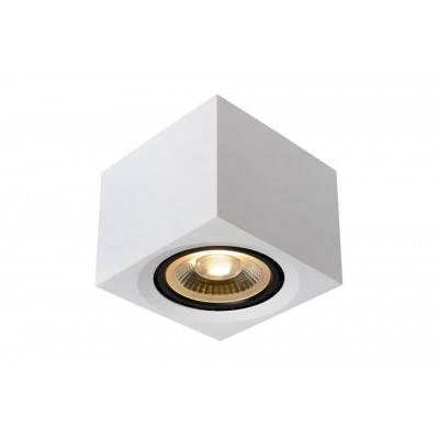 LED Ceiling Spot Lamp FEDLER 3000K White