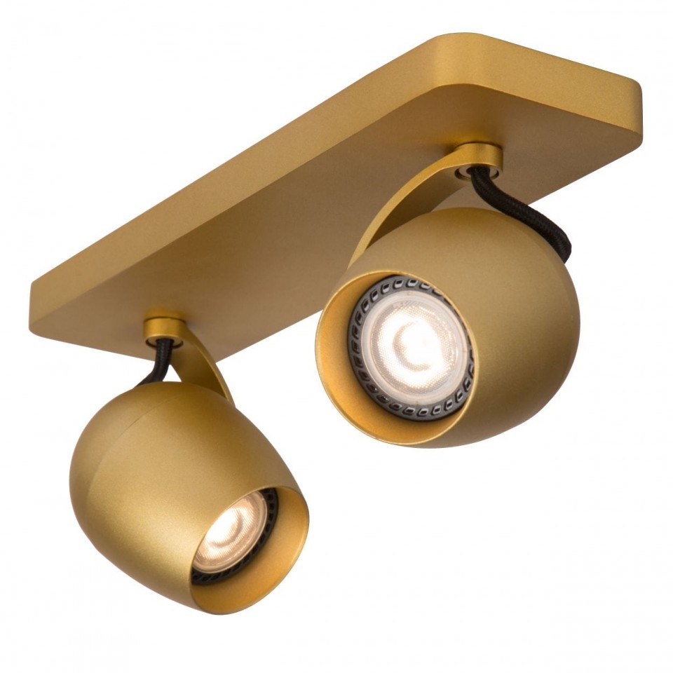 LED Ceiling Spot Lamp PRESTON 3000K Brass Black