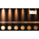 LED Σποτ Τοίχου Turnon 1x5W 3000K Μαύρο με Χρυσό