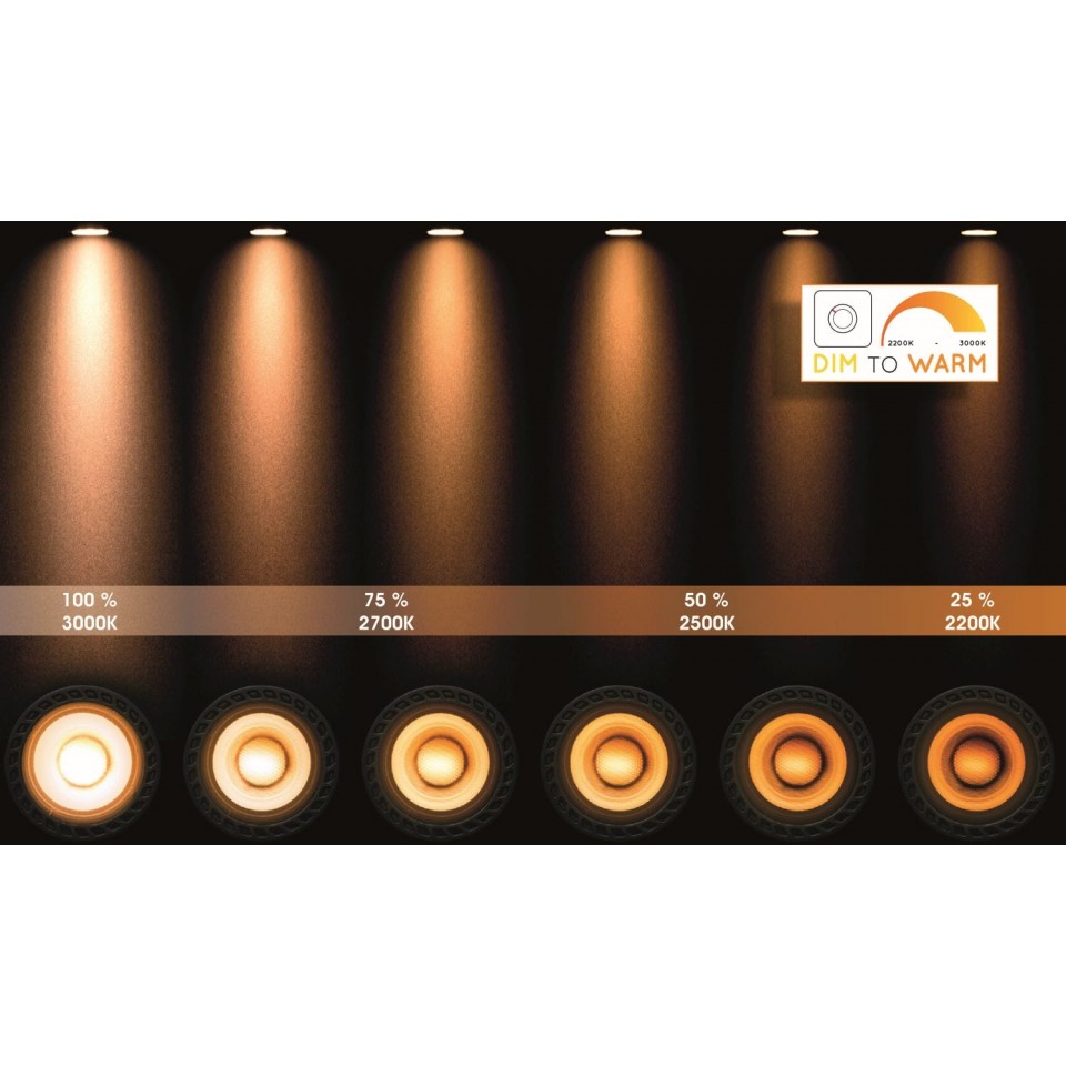 LED Σποτ Οροφής Nigel 2x5W 3000K Μαύρο