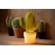 Επιτραπέζιο Φωτιστικό Cactus Πράσινο