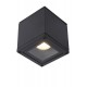 Ceiling Spot Lamp AVEN IP65 Black
