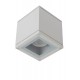 Ceiling Spot Lamp AVEN IP65 White