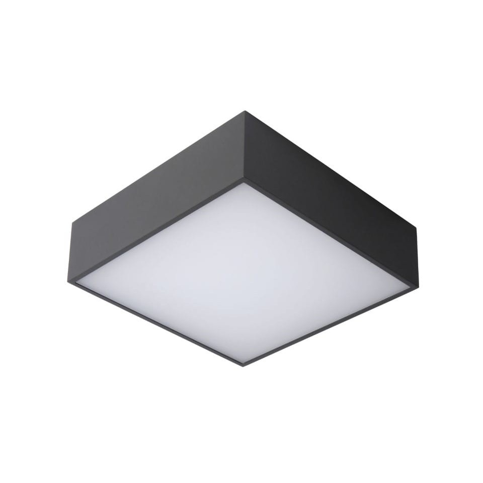 LED Ceiling Lamp ROXANE IP54 2700K Grey