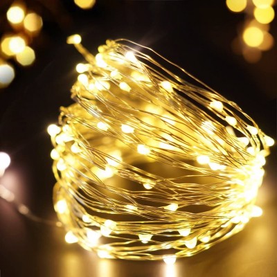 Copper String LED Lights 100L with power supplier 2m Warm White