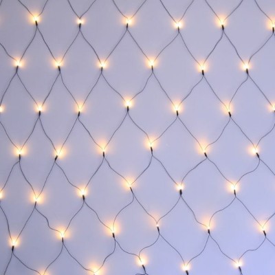 LED Net Lights 2x1m Green Wire Warm White