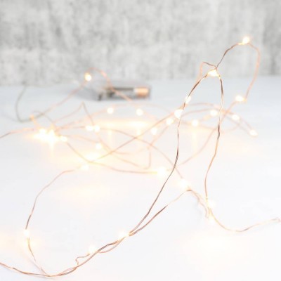 Copper String LED Lights 50L with Battery  5m 