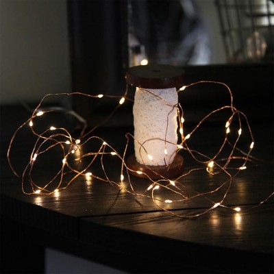 Copper String LED Lights 50L with Battery  5m 