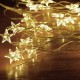 Φωτάκια Χαλκού με Αστέρι Θερμό Φως 50LED 5m μπαταρίας