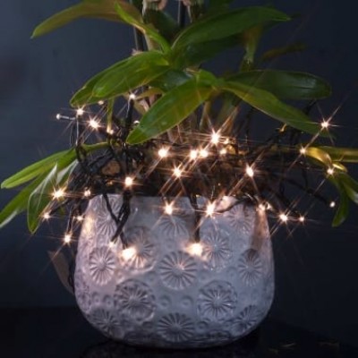 Decorative LED String Lights 2.4m long Green Wire Warm